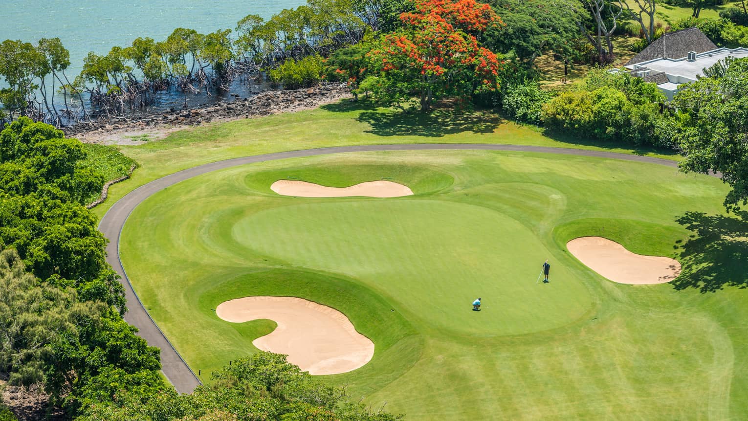 Aerial view of two golfers on large golf course green by trees, ocean