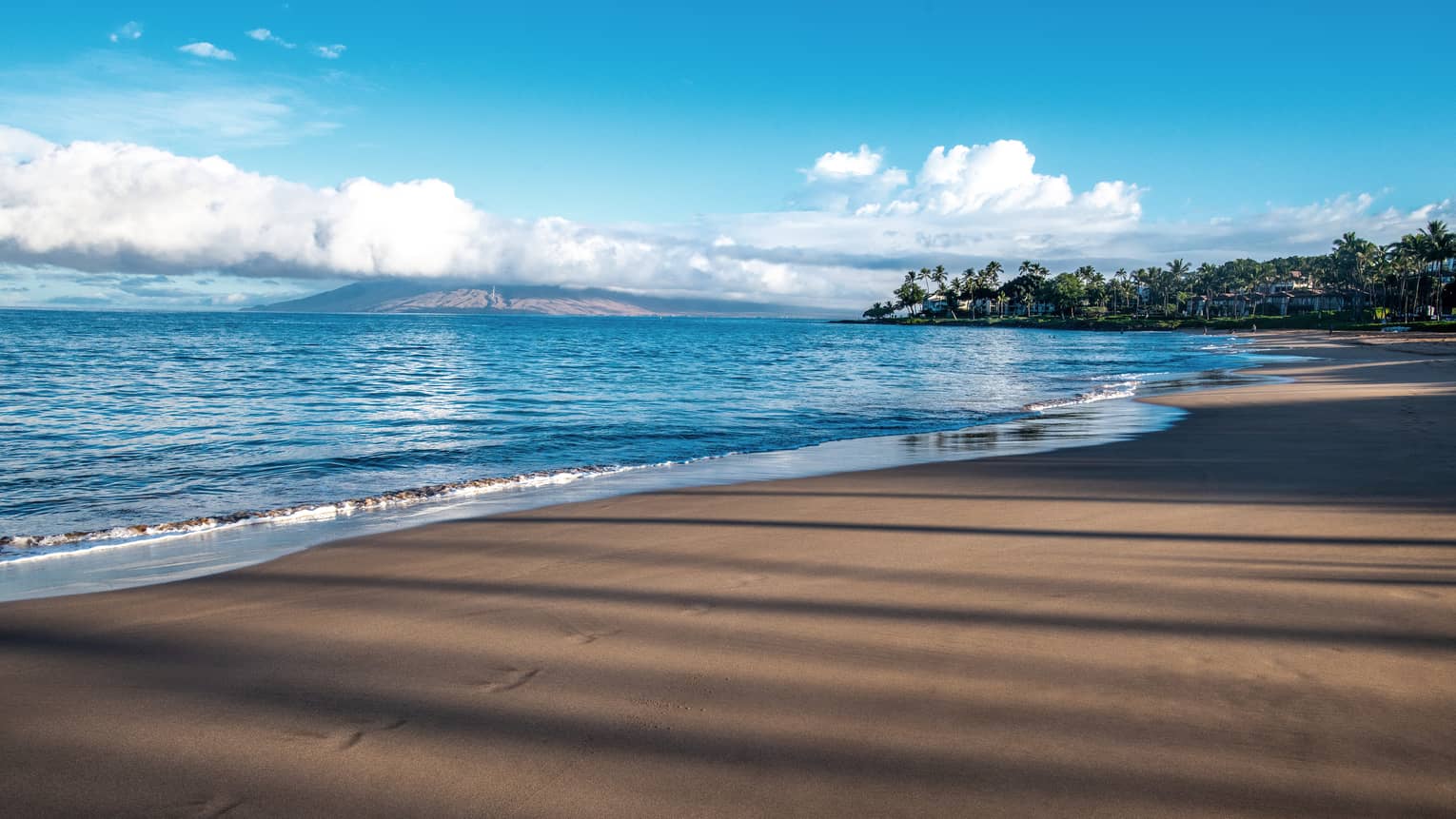 A beach shore with blue waters and a bright sky.