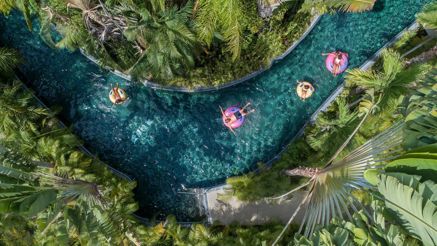 Four people floating on round tubes down a blue lazy river, plants and trees surround them on both sides of the river.