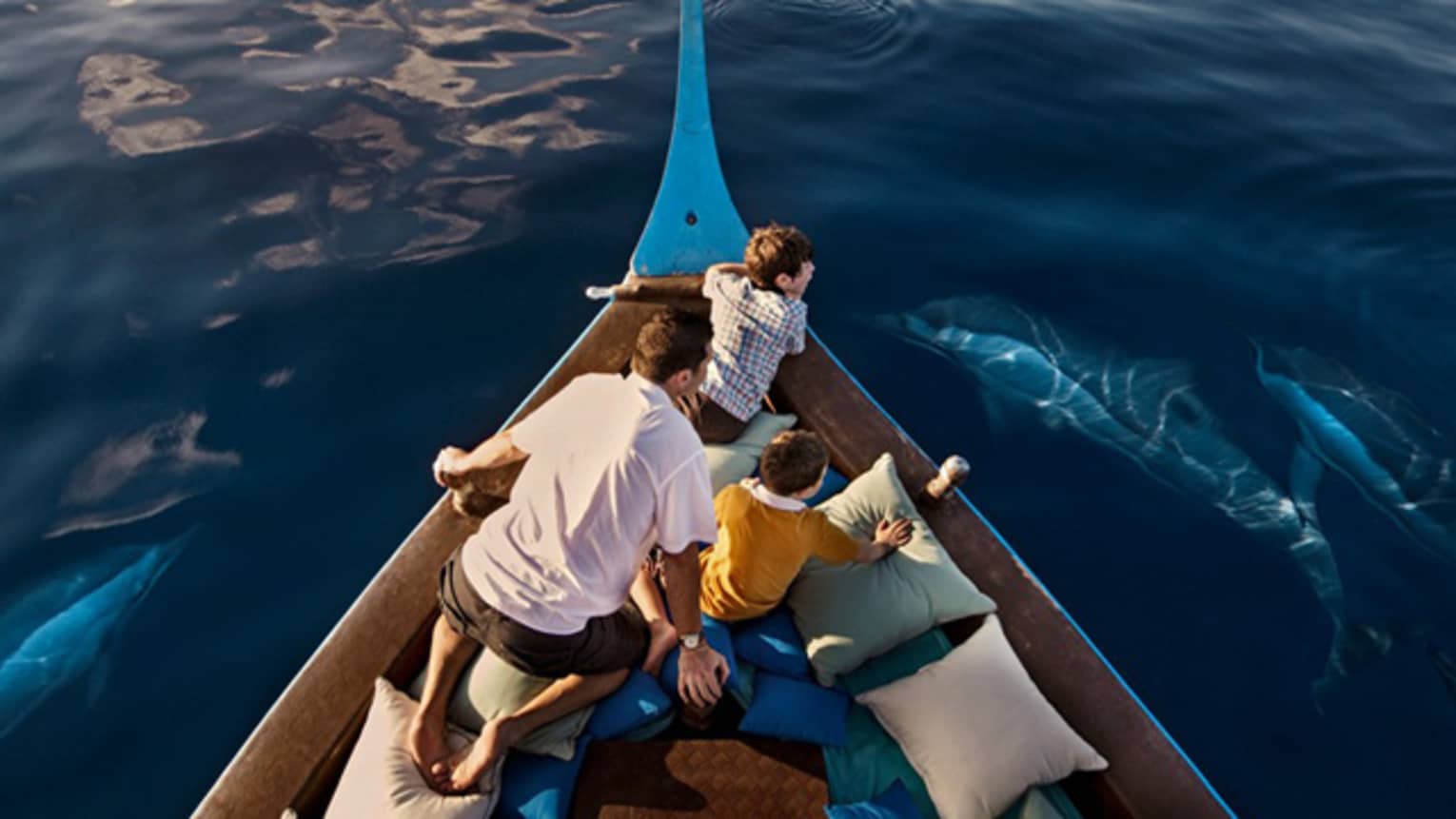 A man and two boys sit in a boat lined with blue and white pillows as dolphins swim around them