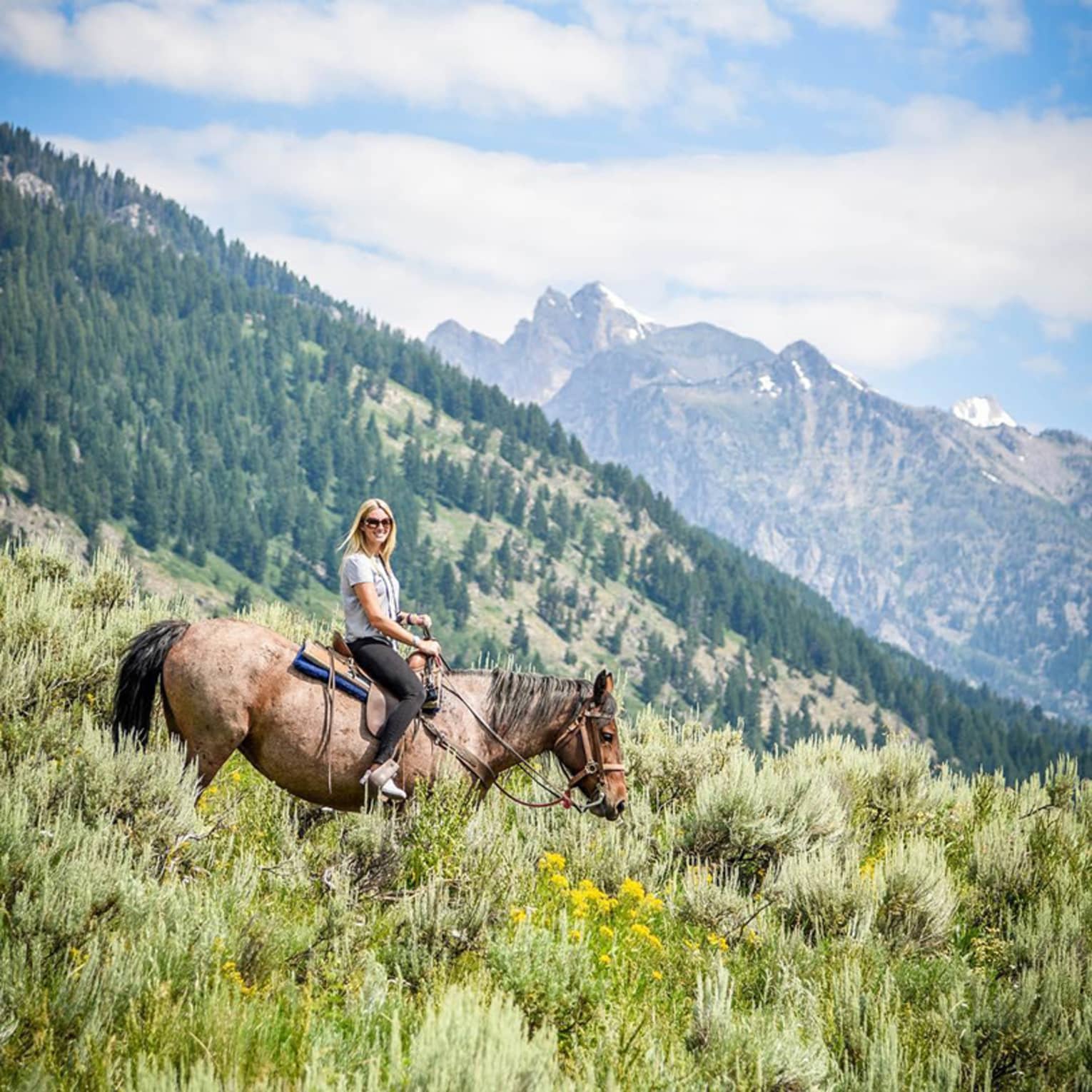Person riding a horse down a steep mountain valley with pine-covered slopes and snow-capped peaks in the background