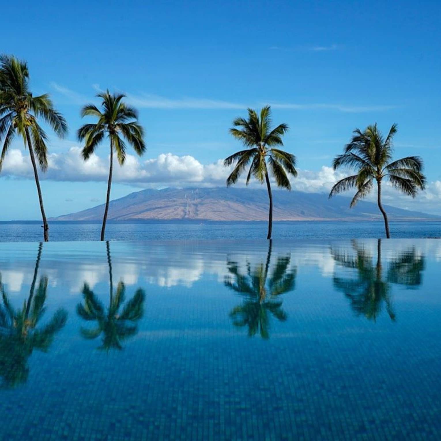 Infinity pool with reflections of palm trees, overlooking the ocean and distant mountains under a bright blue sky