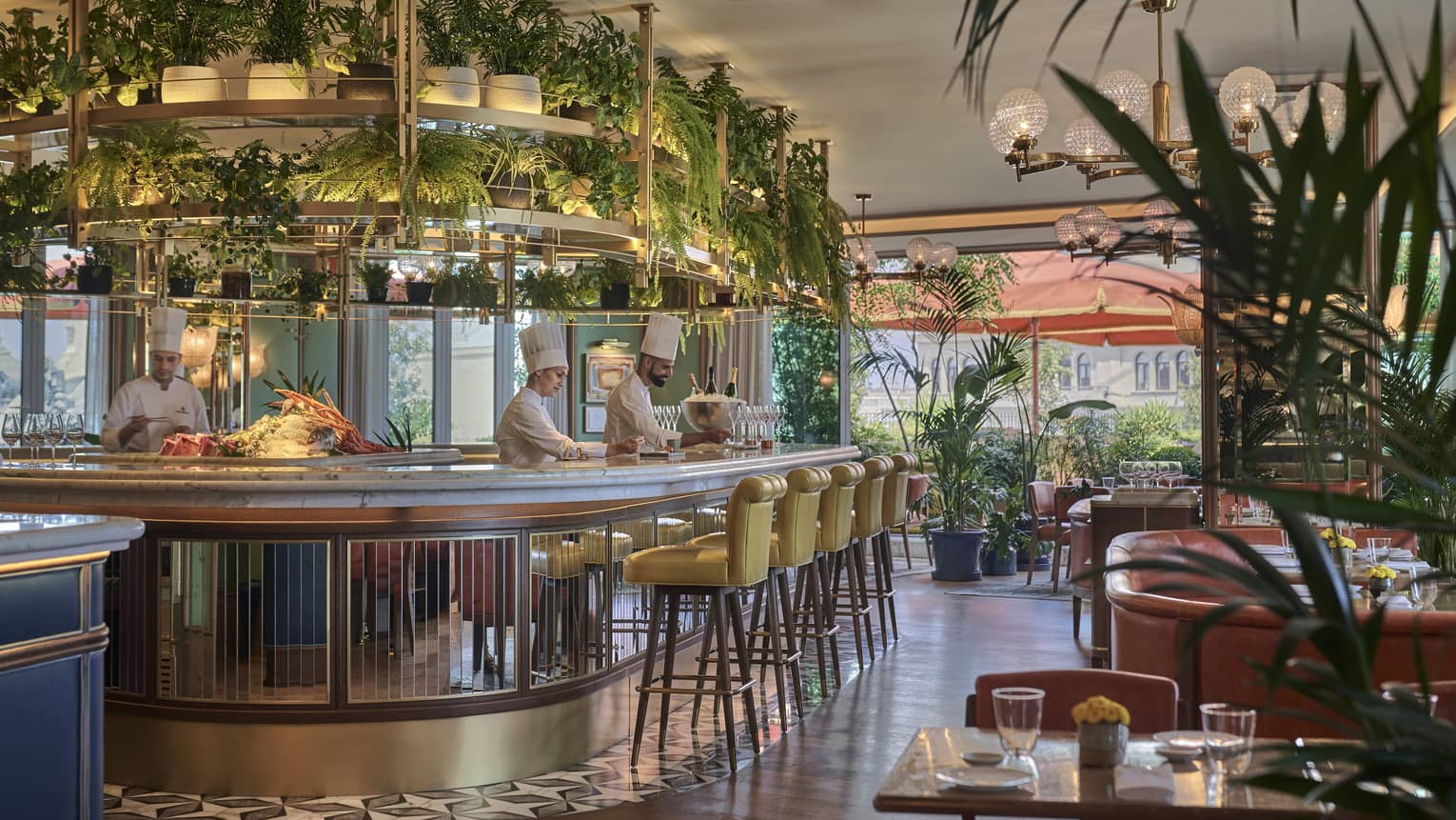 Bar with hanging shelves holding various plants, yellow bar stools, restaurant tables