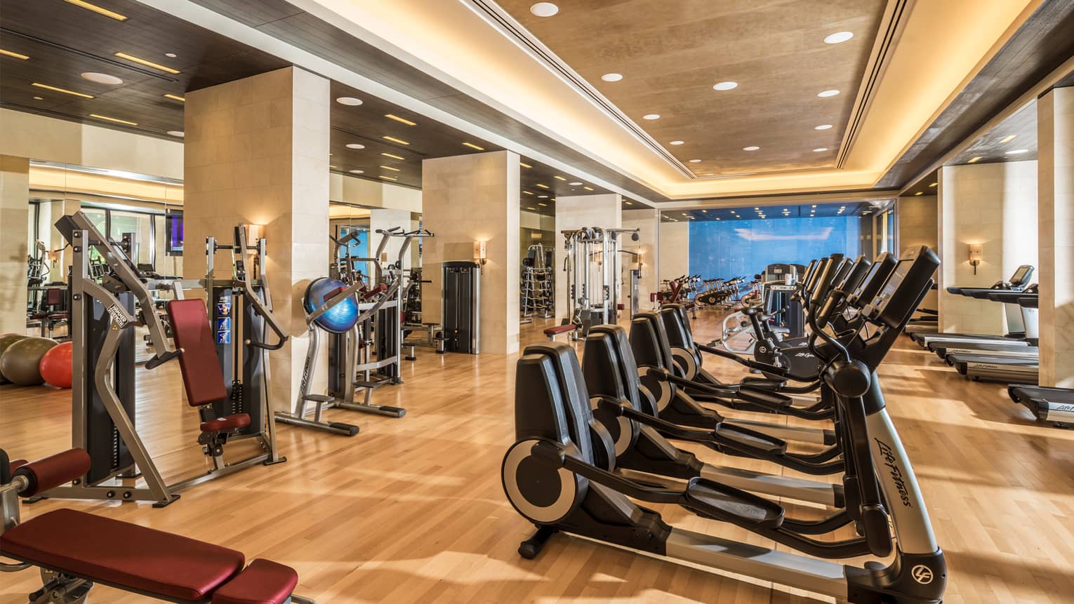 View of 30 Life Fitness cardio machines in bright room with pot lights across ceiling