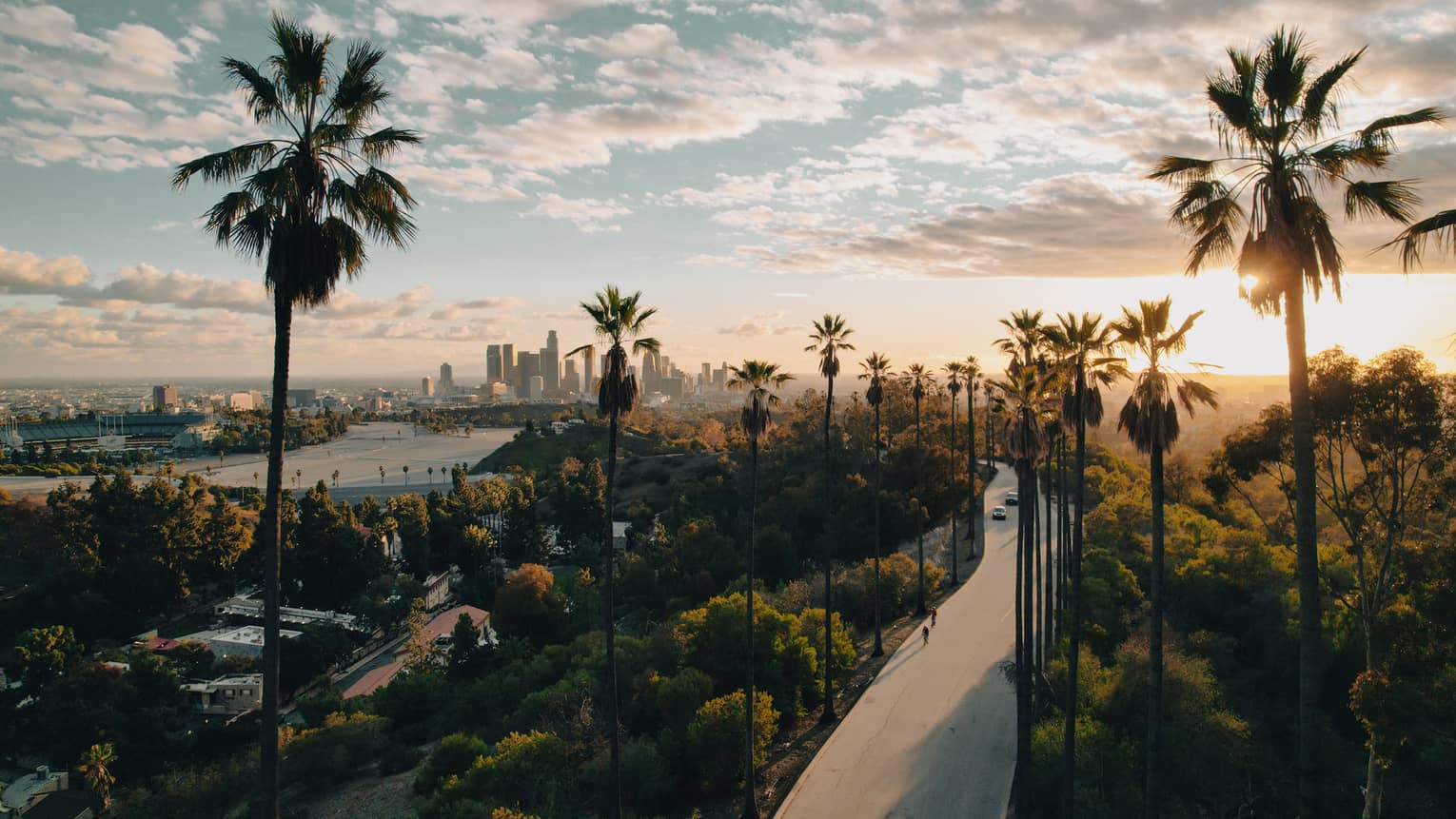 Aerial view of a road surrounded by palm trees and the city skyline