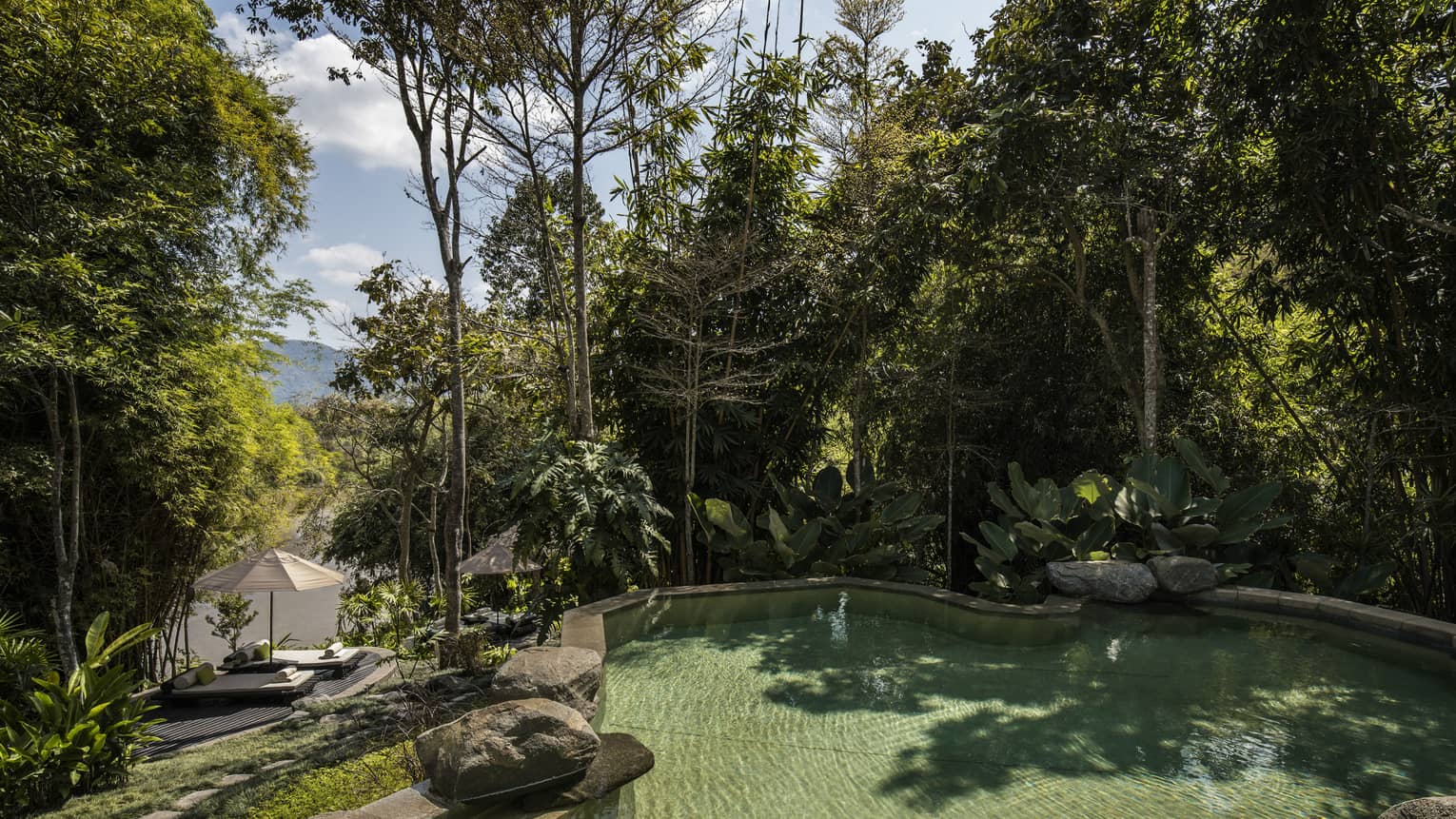 Large Riverside Pool outdoor by towering trees, large boulders