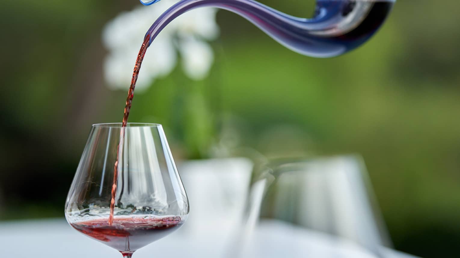 Hand pouring red wine in decanter into a wine glass