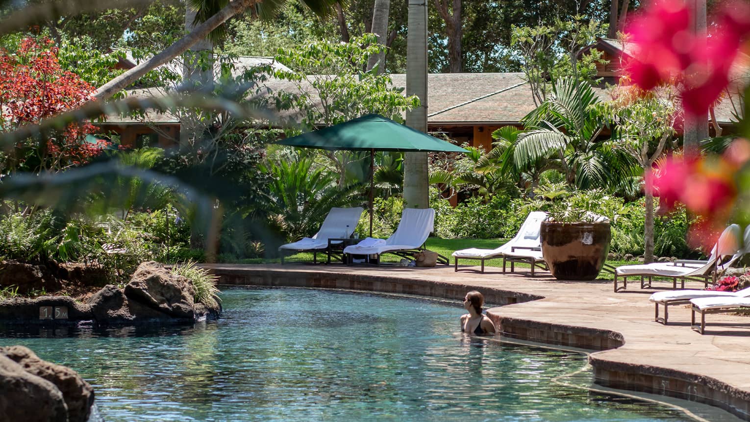 Pool surrounded by palm trees and lush landscaping