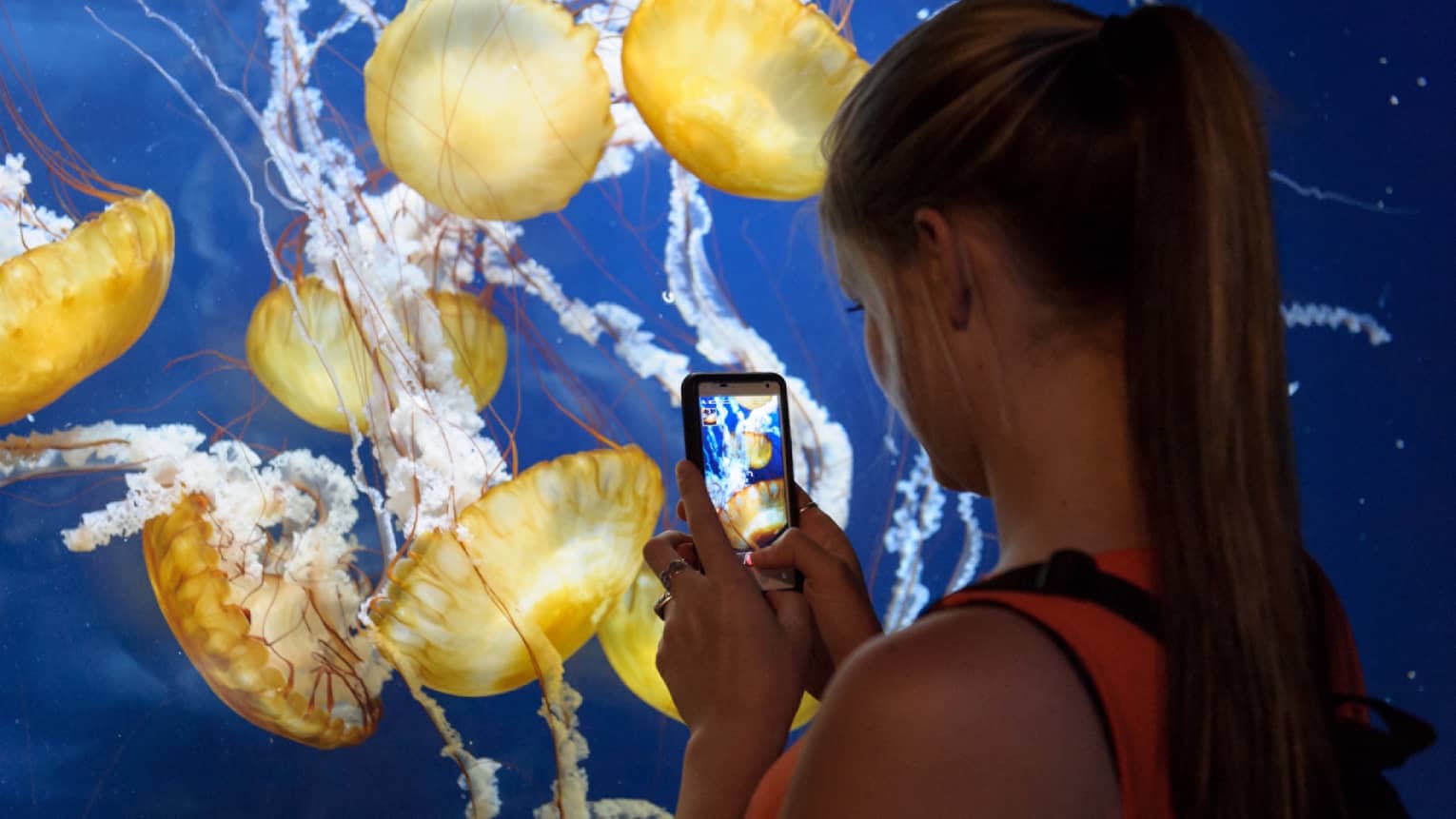 A woman taking a photo of jellyfish on her phone.