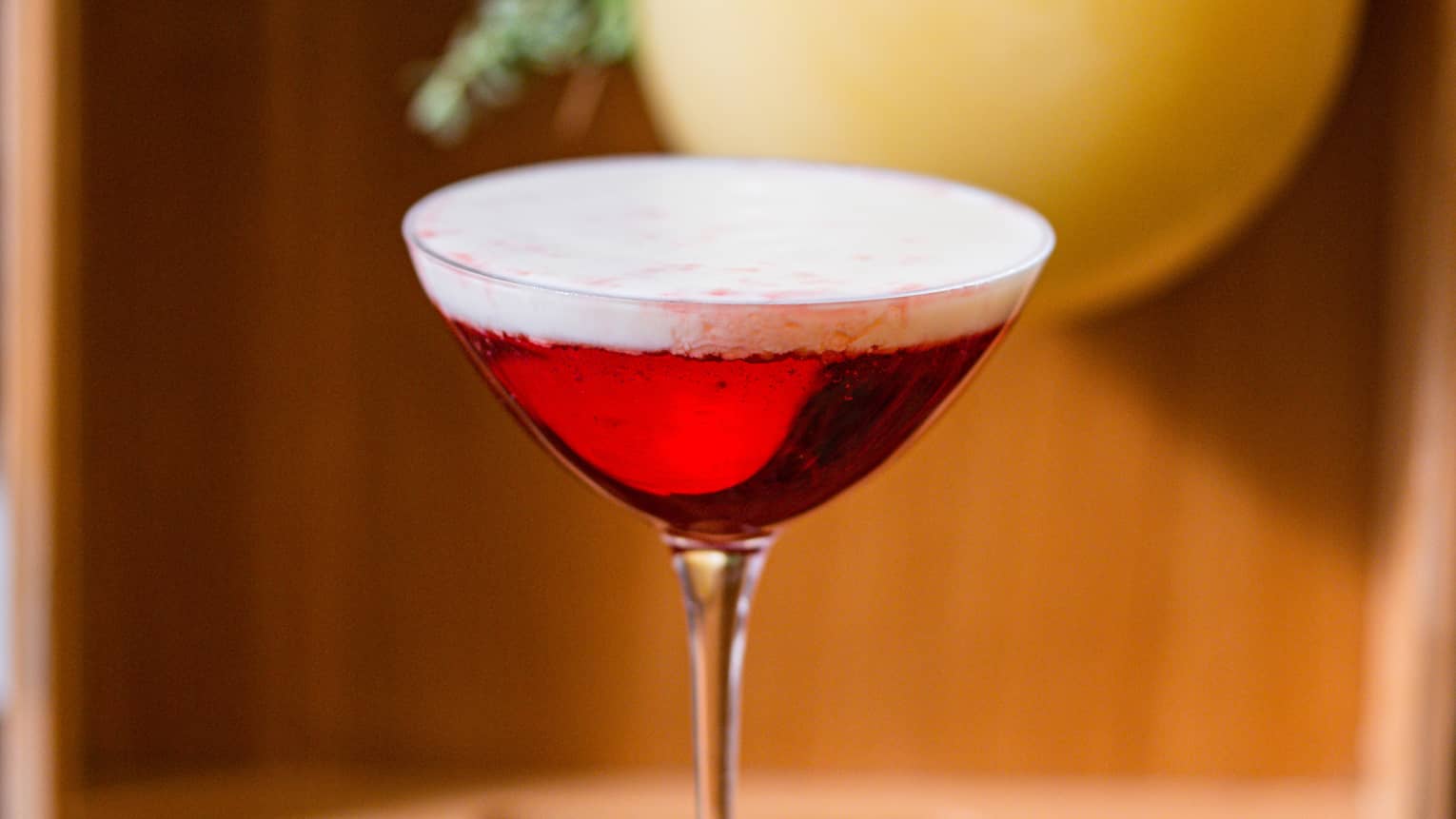 A red cocktail in a long stemmed glass.