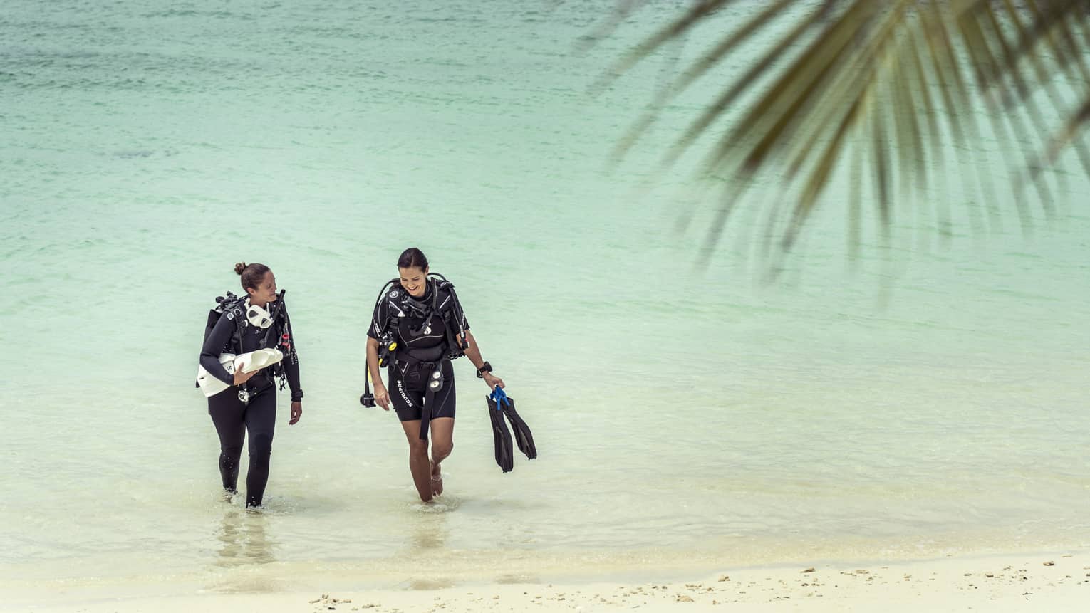 Two smiling scuba divers in wetsuits emerge from the emerald-green water, flippers in hand, a palm frond in the foreground.