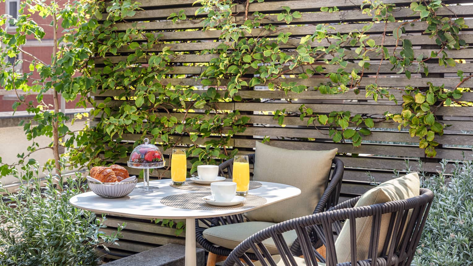 Outdoor terrace with coffee cups, juice glasses, bowl of berries and basket of croissants on a table for two, climbing ivy on the wall behind