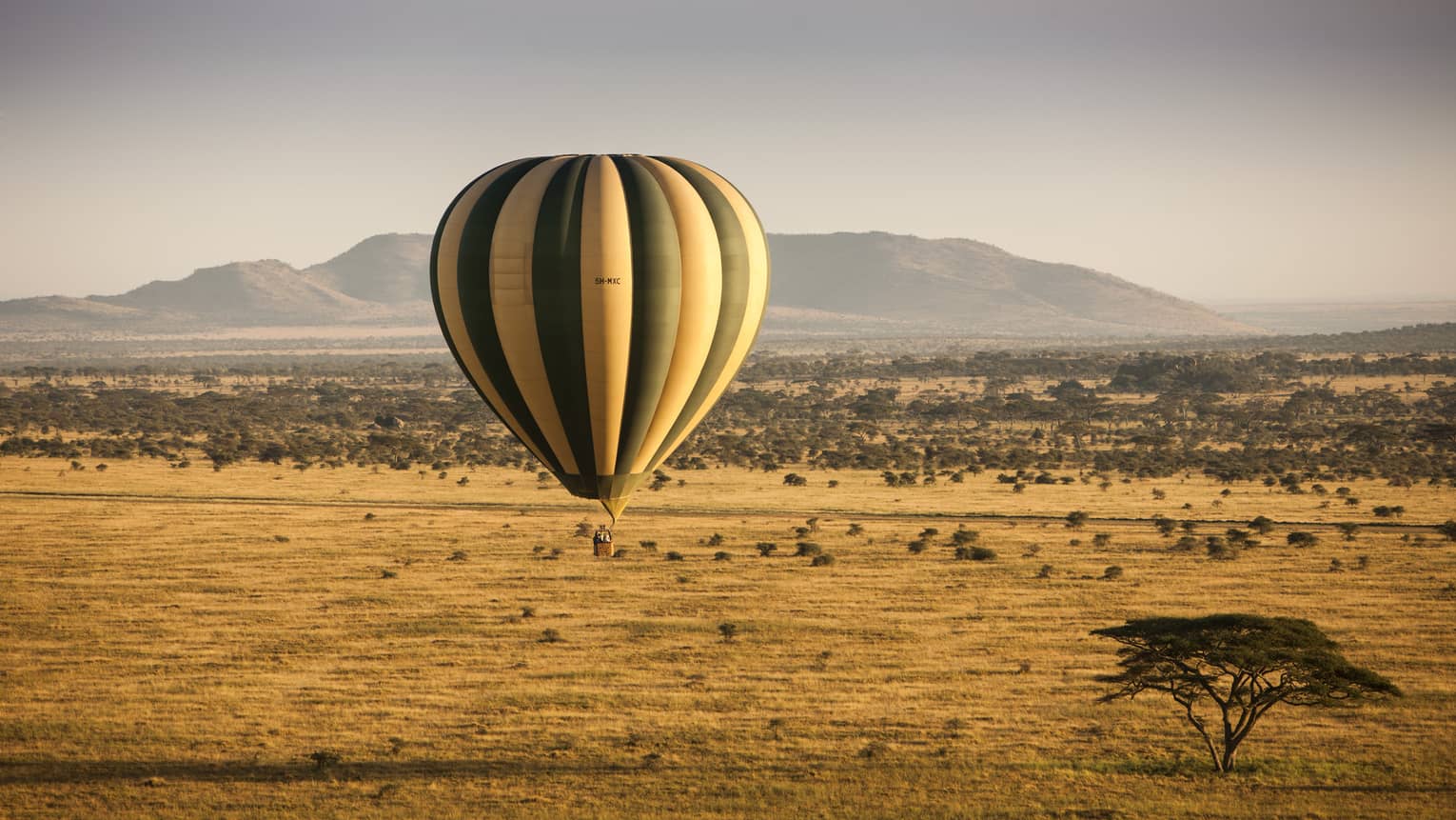 Stripped hot air balloon hovers over landscape of Serengeti, mountain in background 