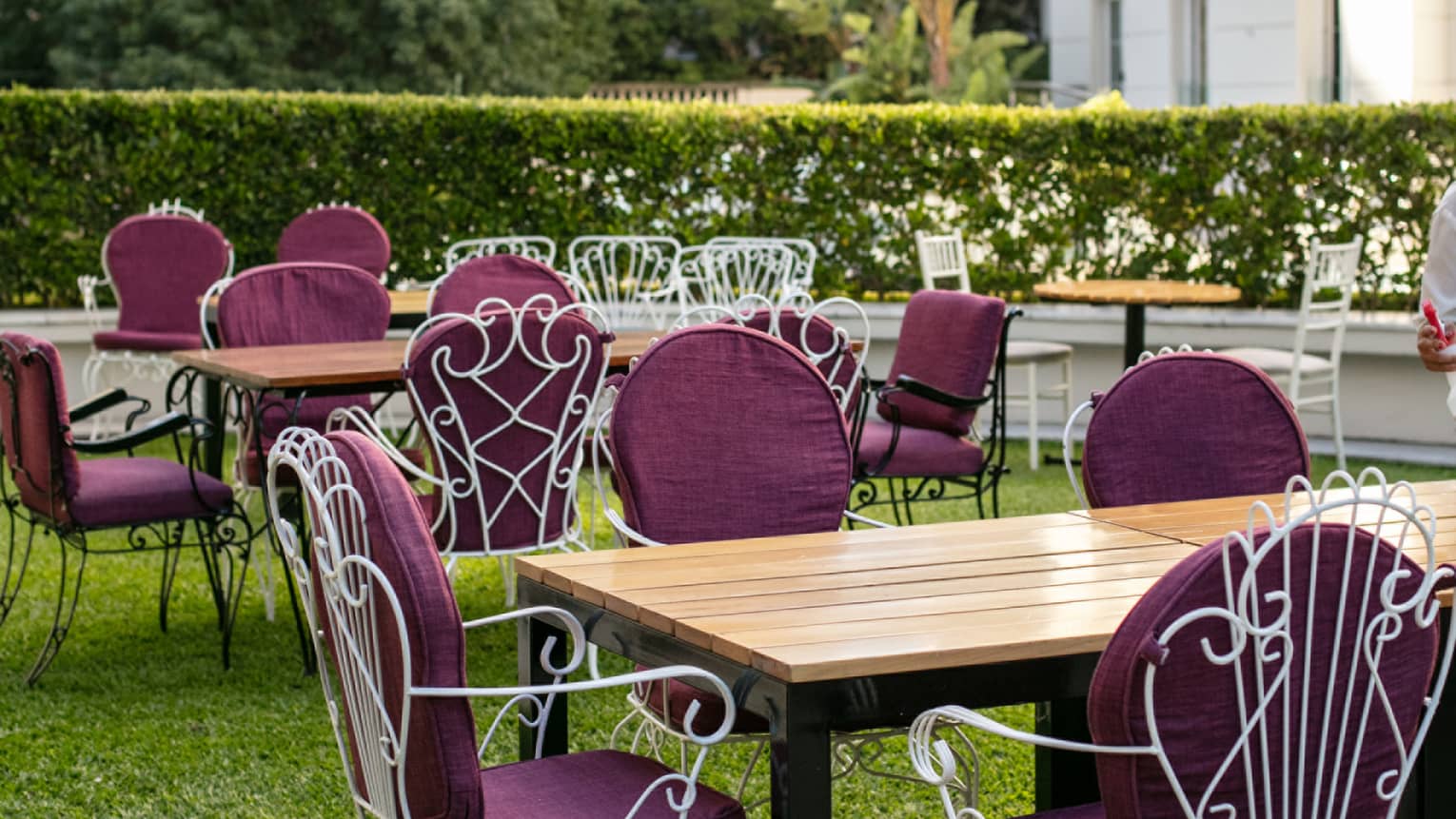 An outdoor terrace with purple chairs. 