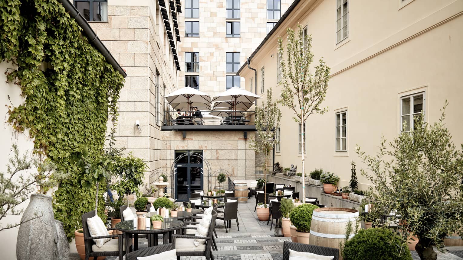 Rooftop terrace restaurant, round black rattan tables, chairs, ivy wall, potted trees
