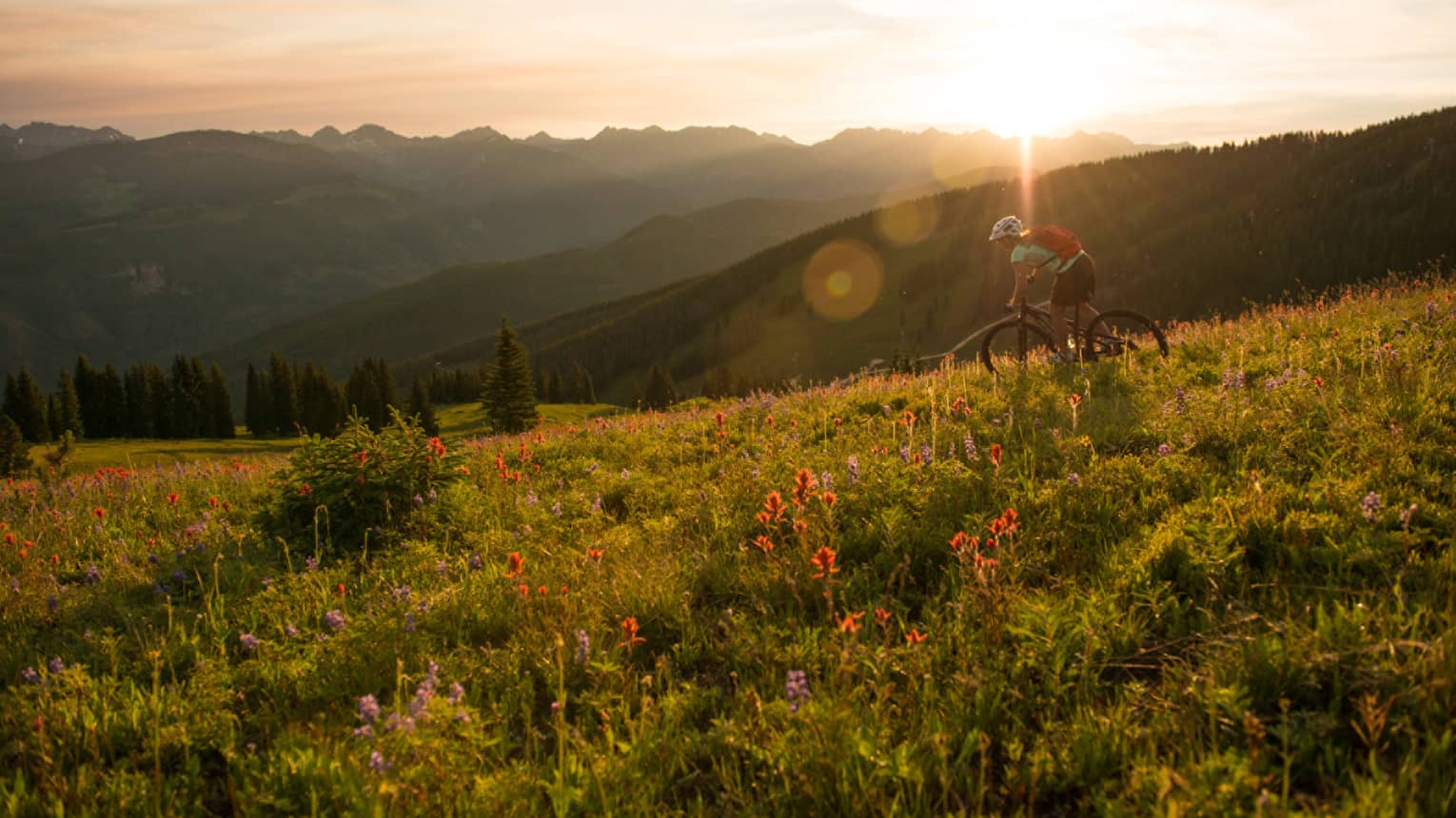 Sun sets over mountain meadow