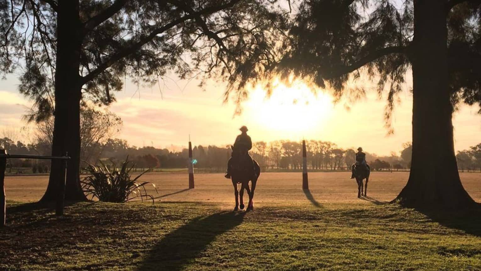 Two polo players ride their horses through a groove of trees as the sun sets behind them.