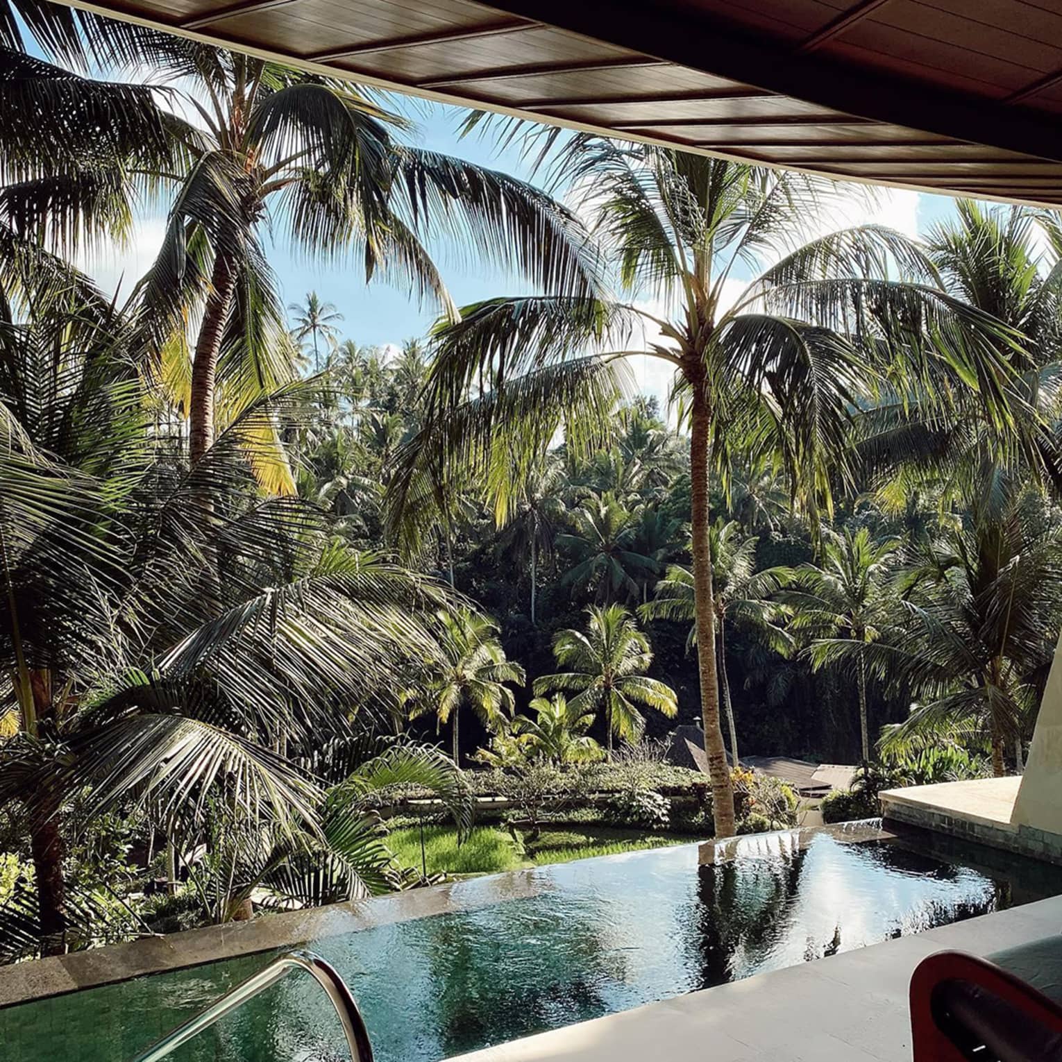 Private pool overlooking palm trees by river
