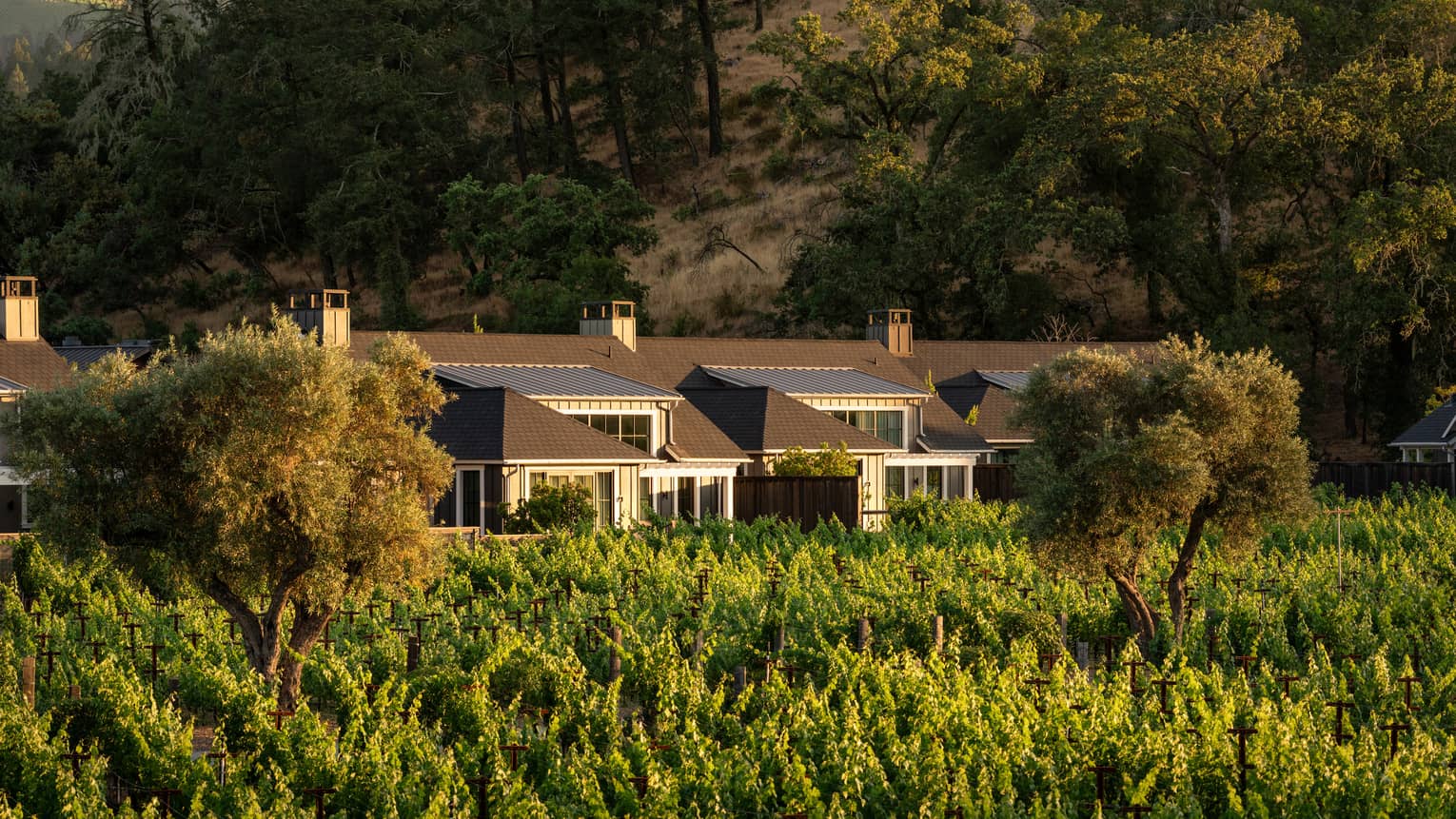 Vacation home nestled in a lush vineyard