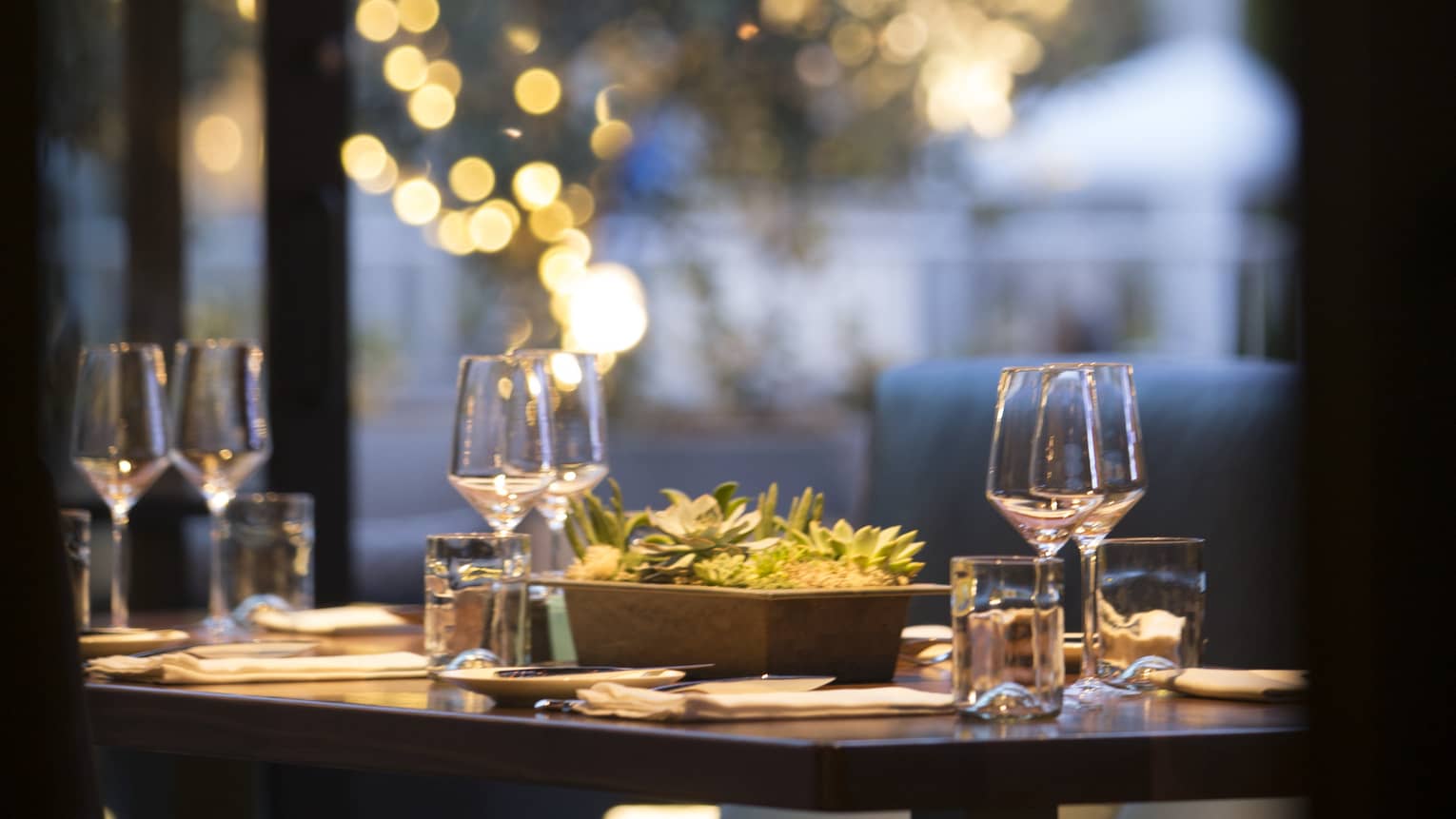 Close-up of small dining table with succulents plant centrepiece and wine glasses