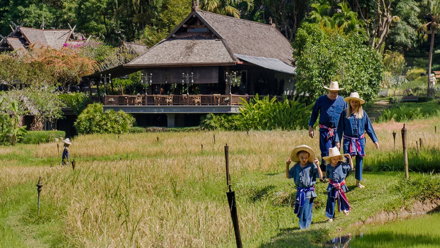 Couple and two young children wearing traditional Thai farmer's outfits walk through rice field