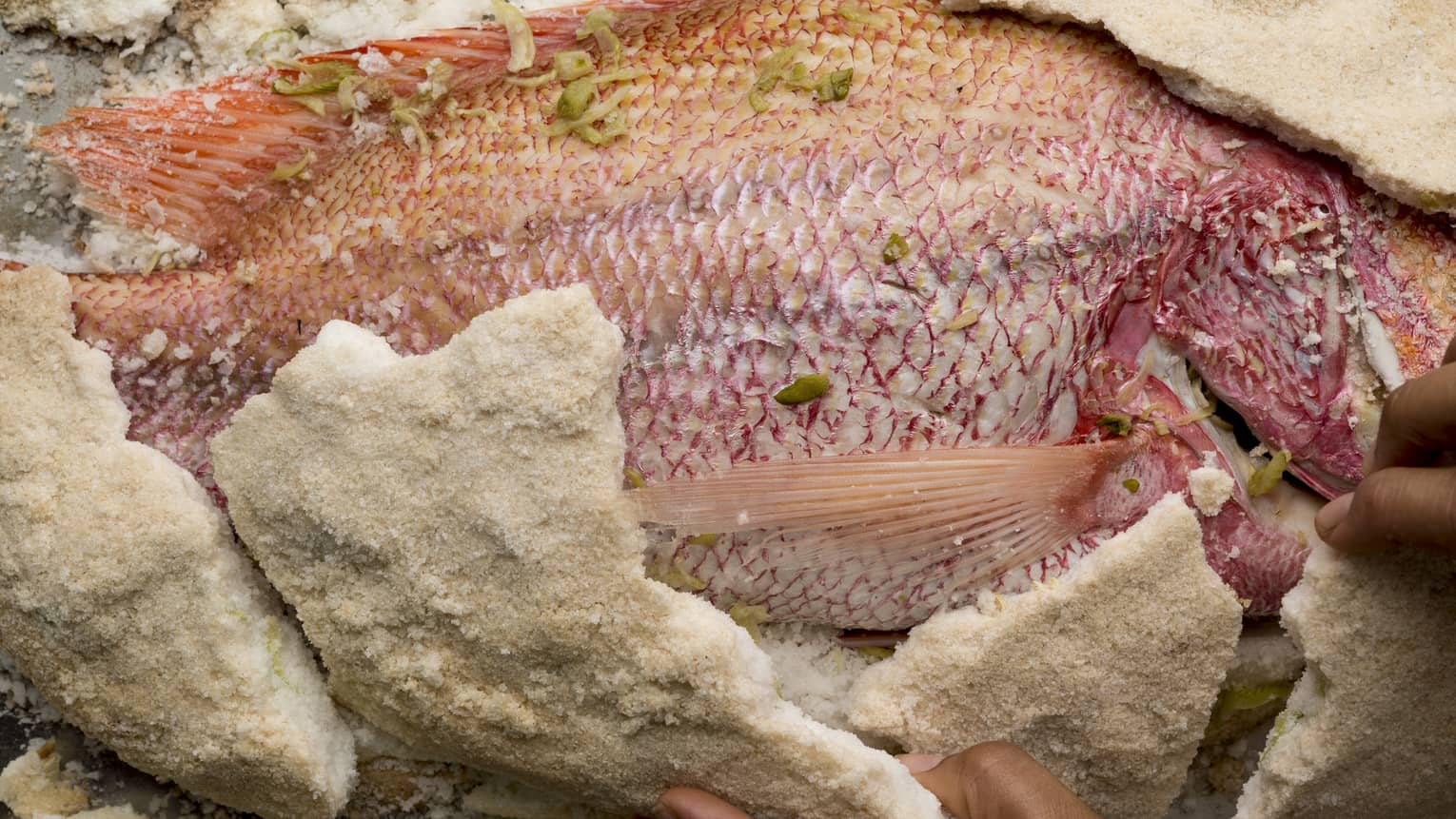 A salt crusted red fish with herbs on it 