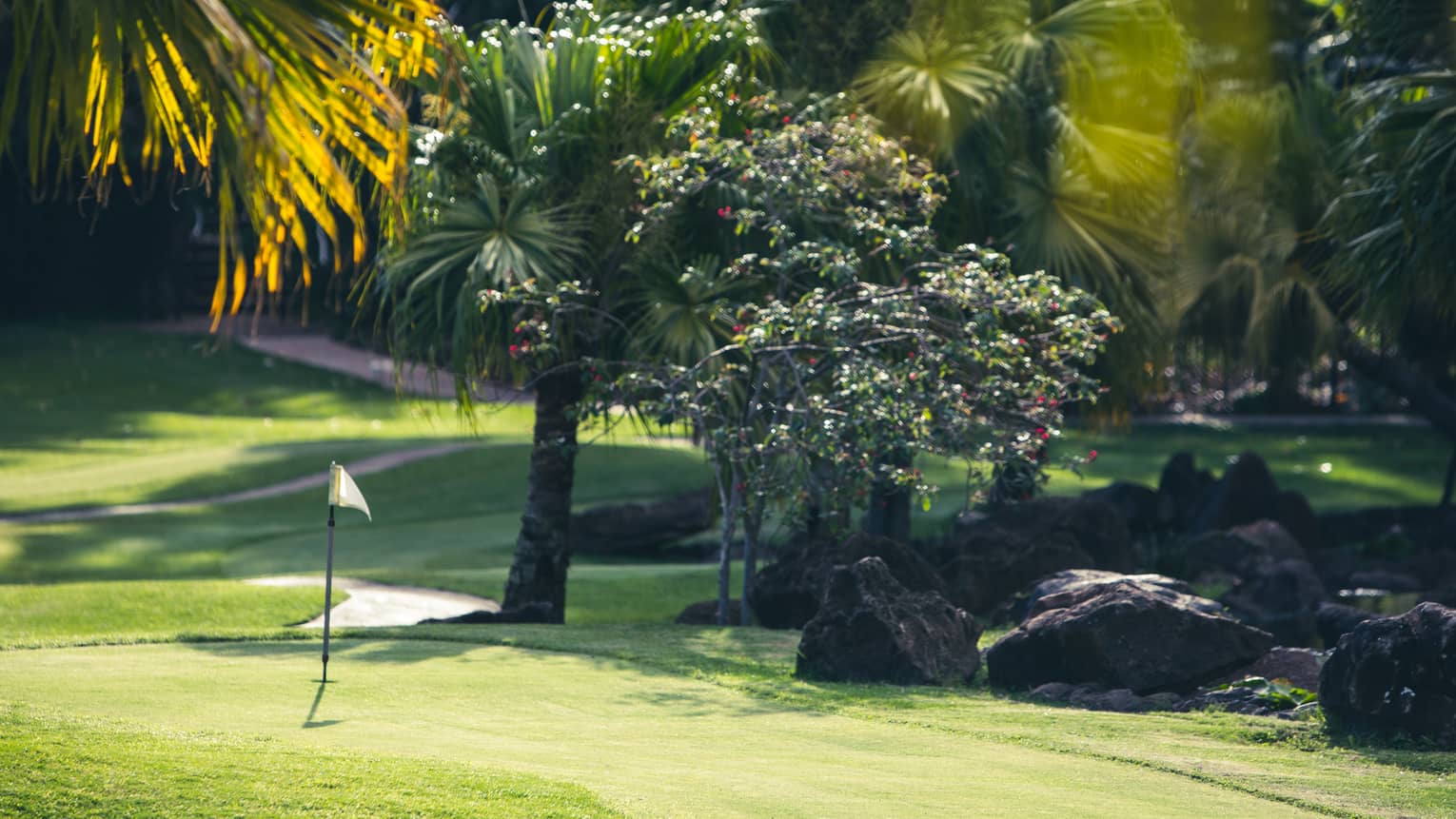 Golf course surrounded by palm trees and large rocks