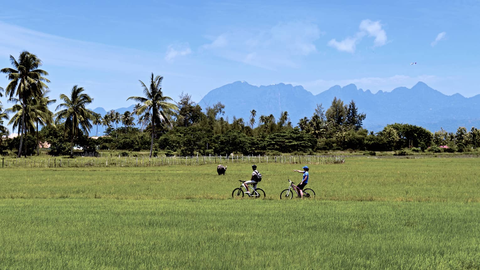 Couple riding bicycles through grassy field, tropical trees, mountains in distance