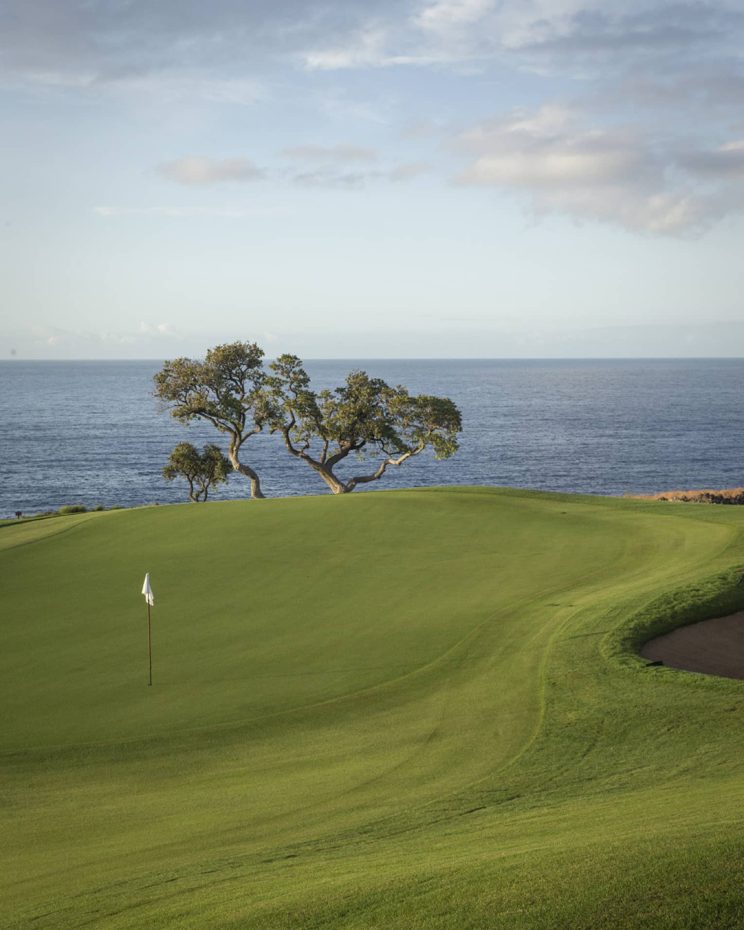 Manicured golf green with white flag in a hole, sloping upwards toward a backdrop of sculptural tree, grey-blue ocean beyond.