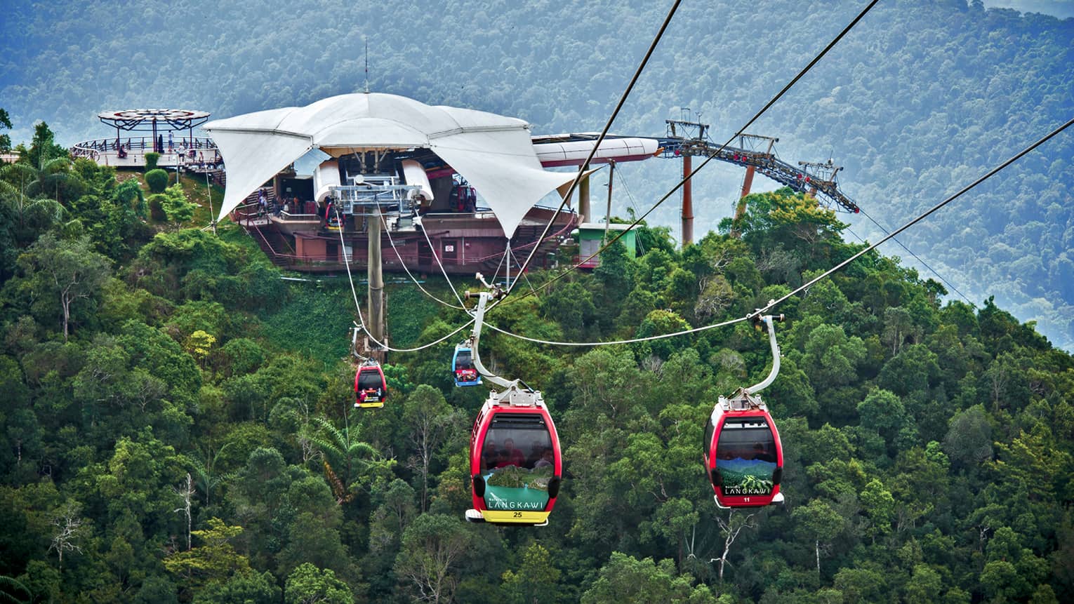 Guests ascend over trees and wildlife in specialty cable car lifts