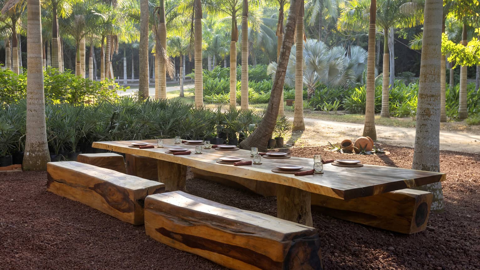 Wood dining table and benches in a lush forest setting