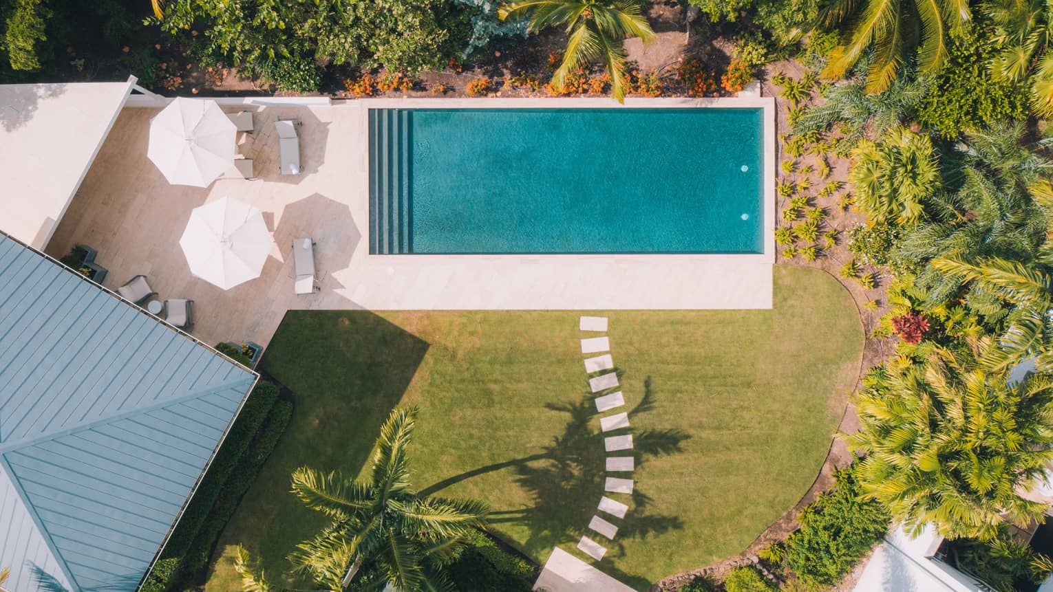 Aerial view of rectangular pool, two umbrellas, tropical lawn