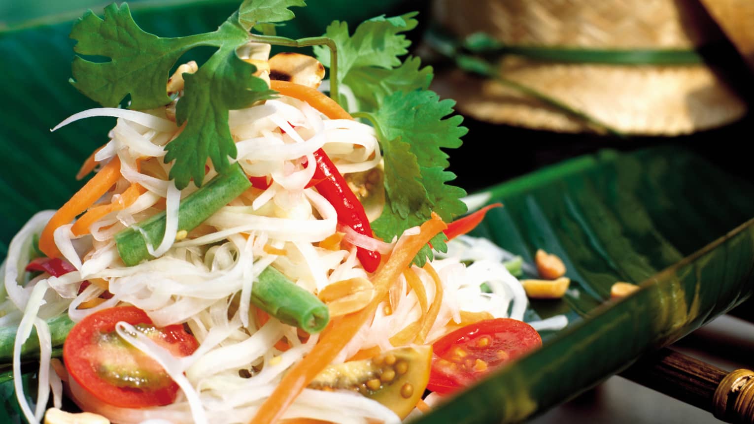 Camp Pad Siew rice noodles mixed with vegetables, fresh coriander leaves