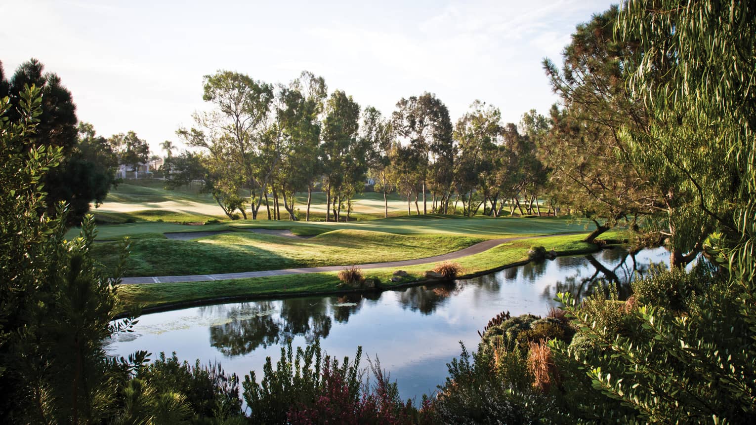 View of empty golf course green from across pond, bushes, on sunny day
