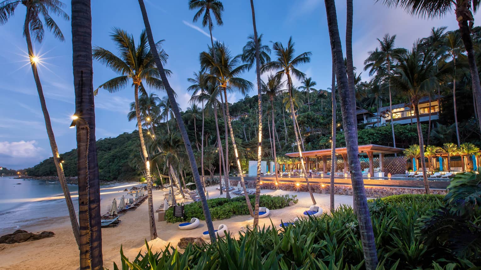 Tall palm trees, lounge chairs on white sand beach in front of CoCoRum bar at night