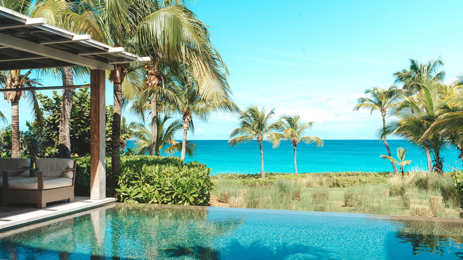 Infinity pool with ocean view, surrounded by palm trees and tropical greenery.