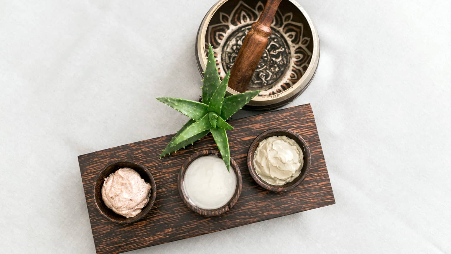 Aerial view of decorative mortar and pestle, small aloe plant, wood tray with three small bowls with creams
