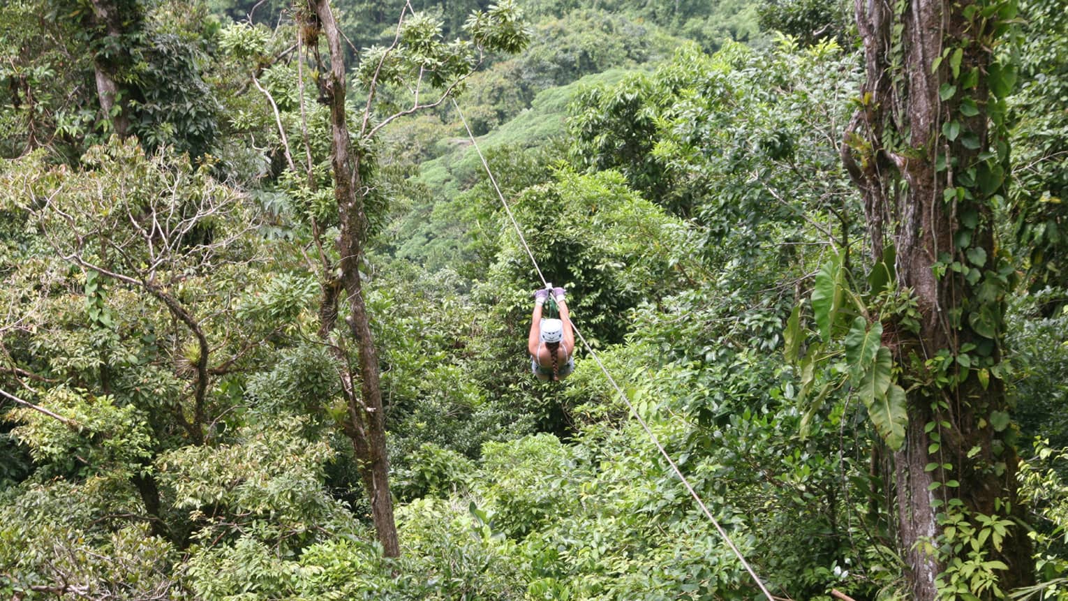 Aerial view of a person zip-lining through dense forest. Gripping the handlebars, the adventurer soars above towering trees.