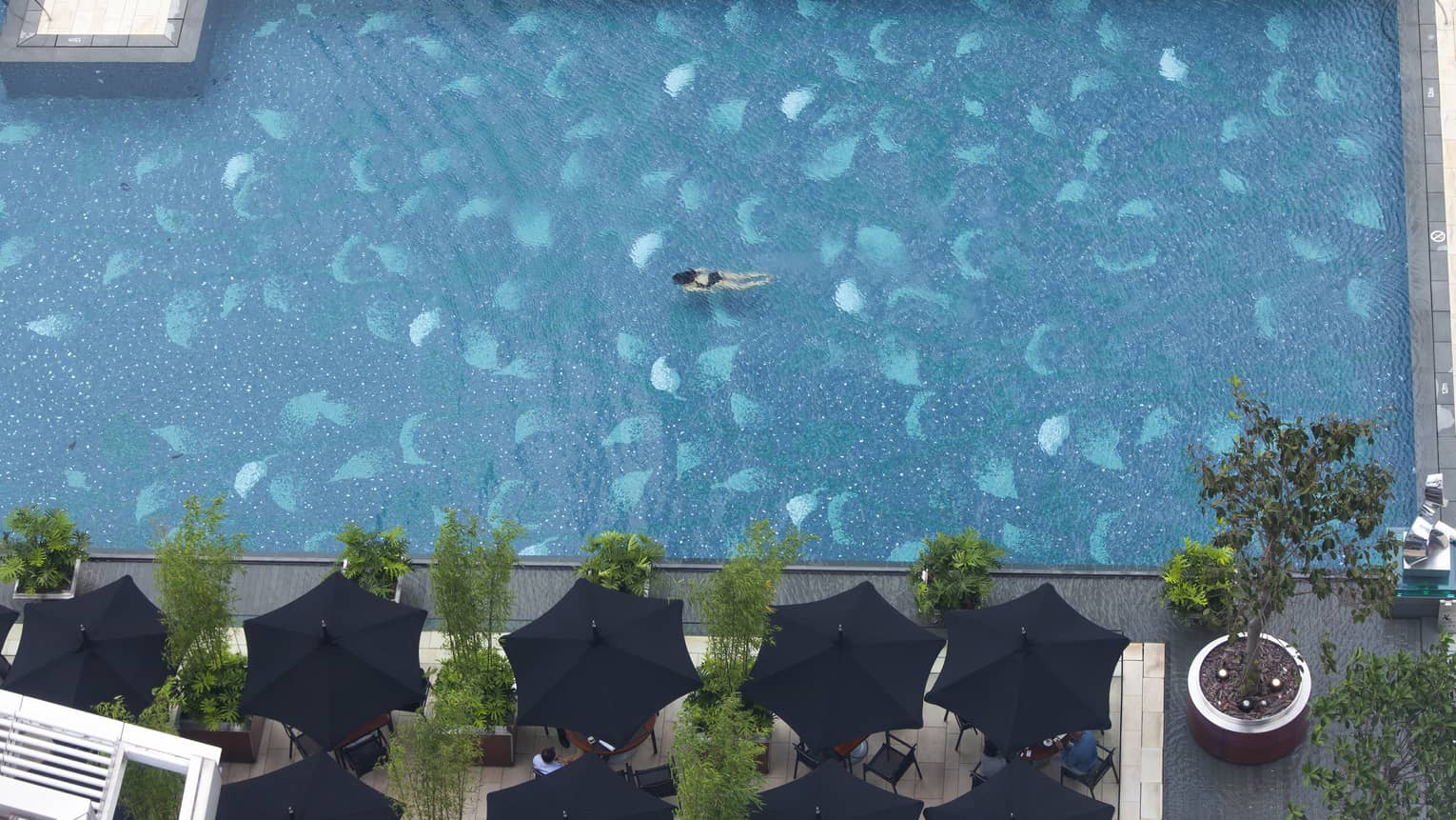 Aerial view of a large swimming pool with a person swimming on their back. The pool area features black umbrellas, lounge chairs and arranged potted plants.