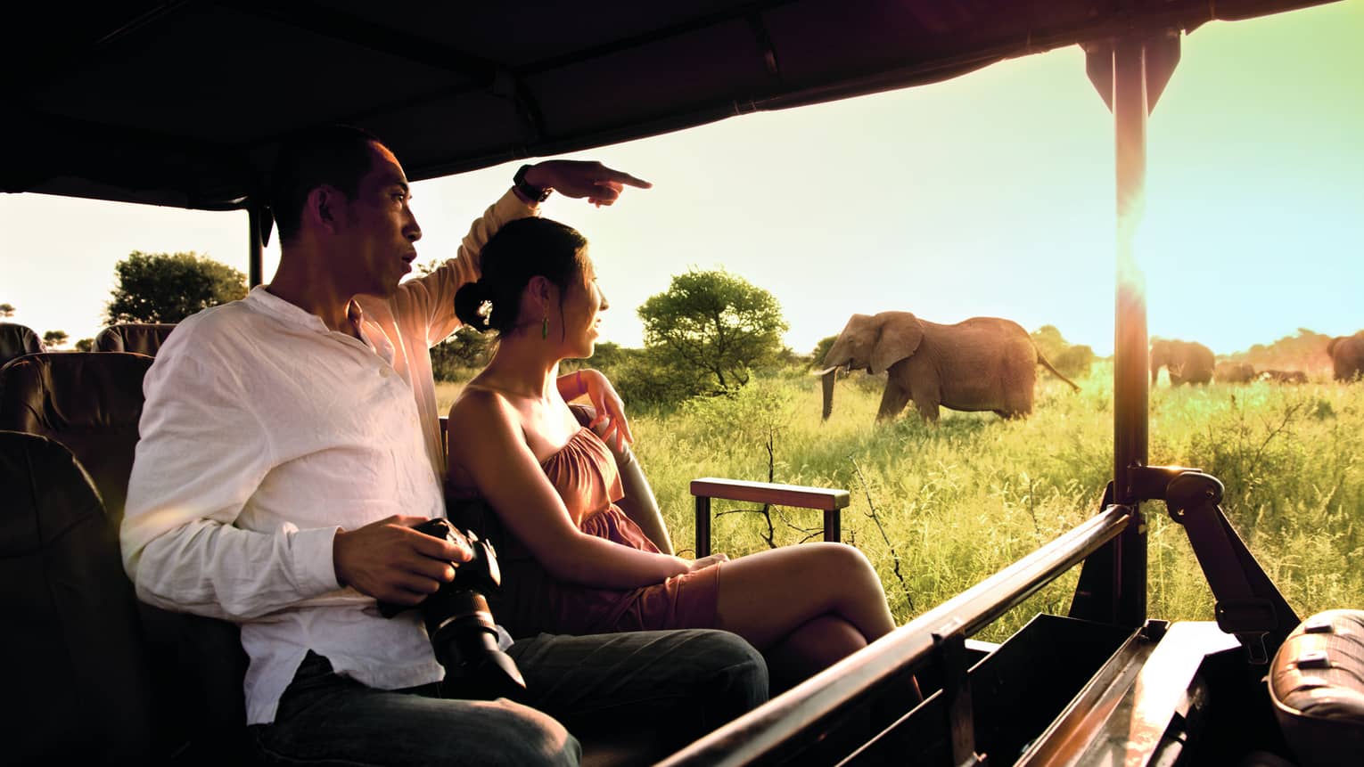 Inside view from a safari jeep of a couple with a zoom lens camera watching a herd of elephants, bright sun streaming in.