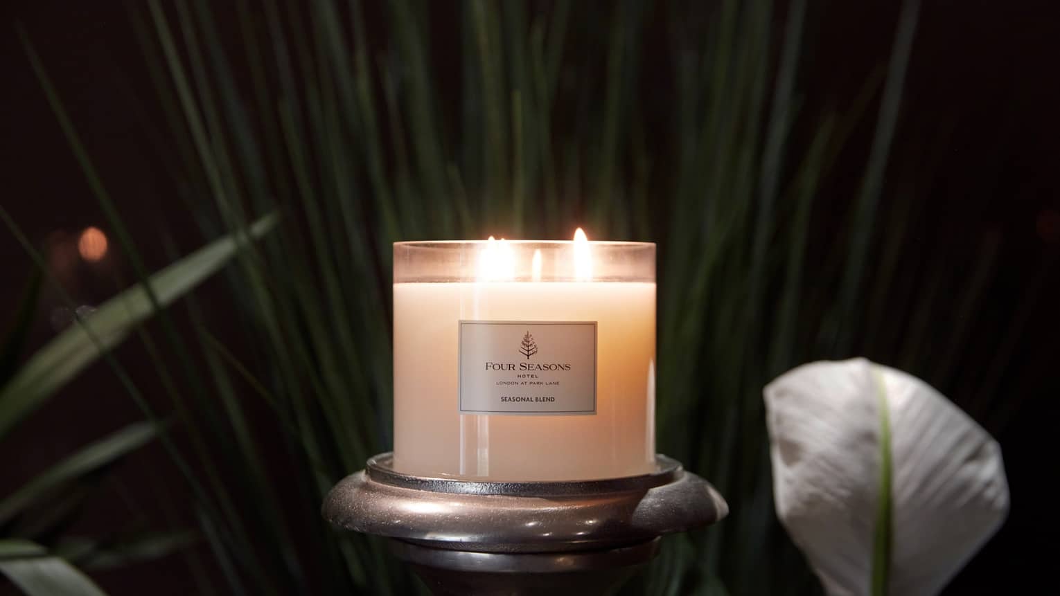 A candle on a stand surrounded by plants.