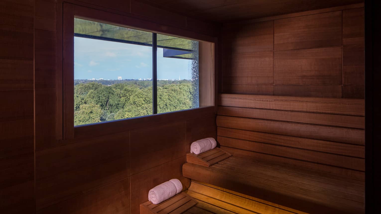 Rolled white towels on benches in wood sauna, window looking out over trees