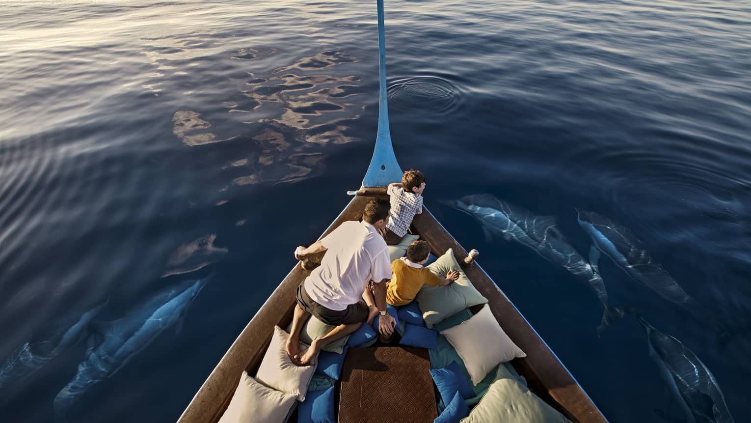A man and two boys sit in a boat lined with blue and white pillows as dolphins swim around them