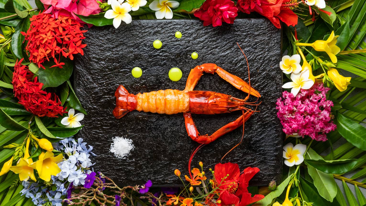 A whole cooked lobster on a black slate board with dots of green sauce and small pile of salt, surrounded by vibrant flowers.