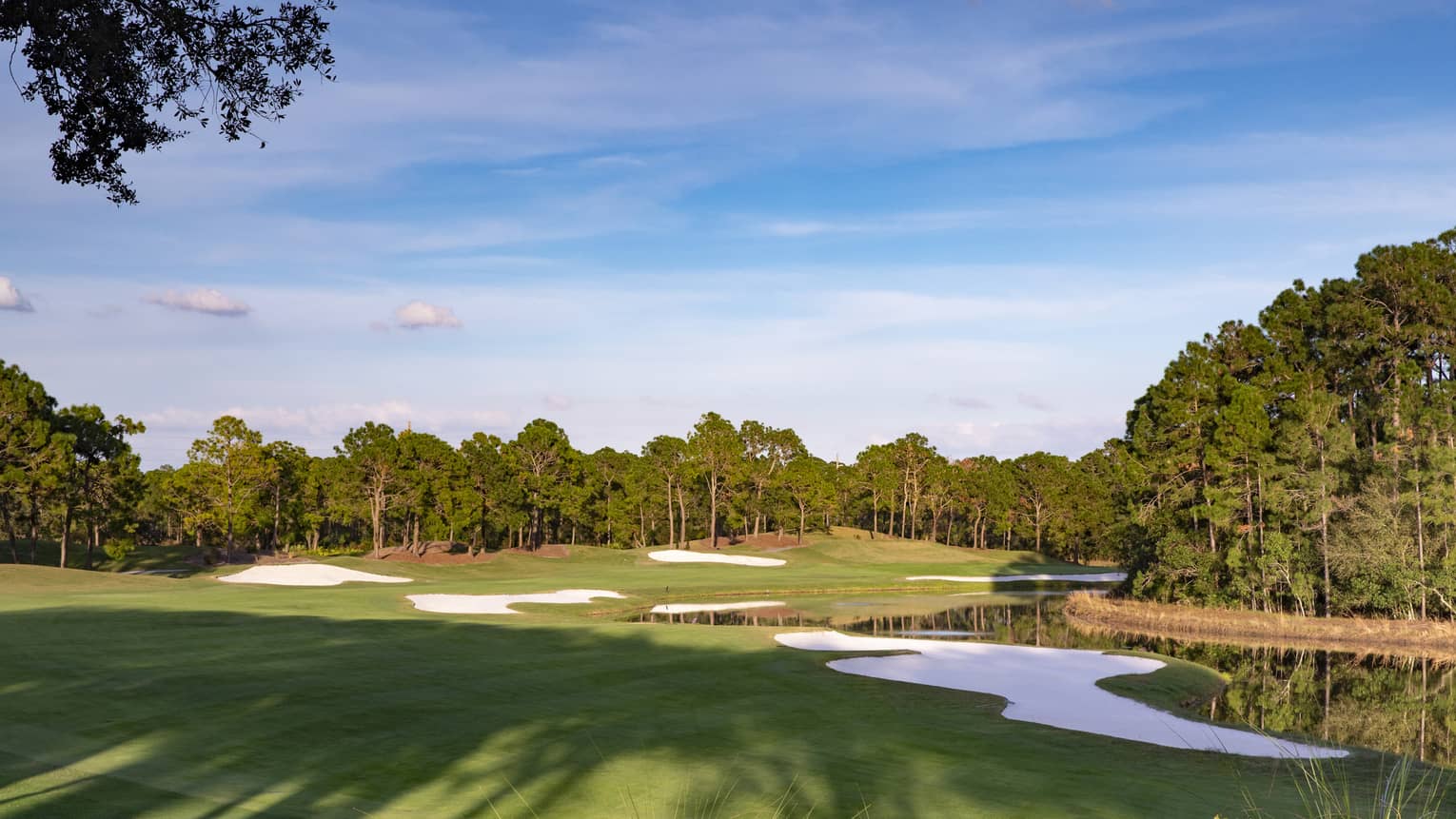 Sprawling green golf course and trees