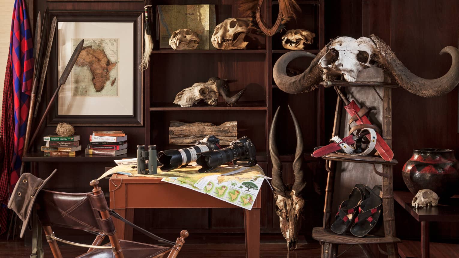 Two cameras with telephoto lenses, binoculars on Discovery Centre table, skulls