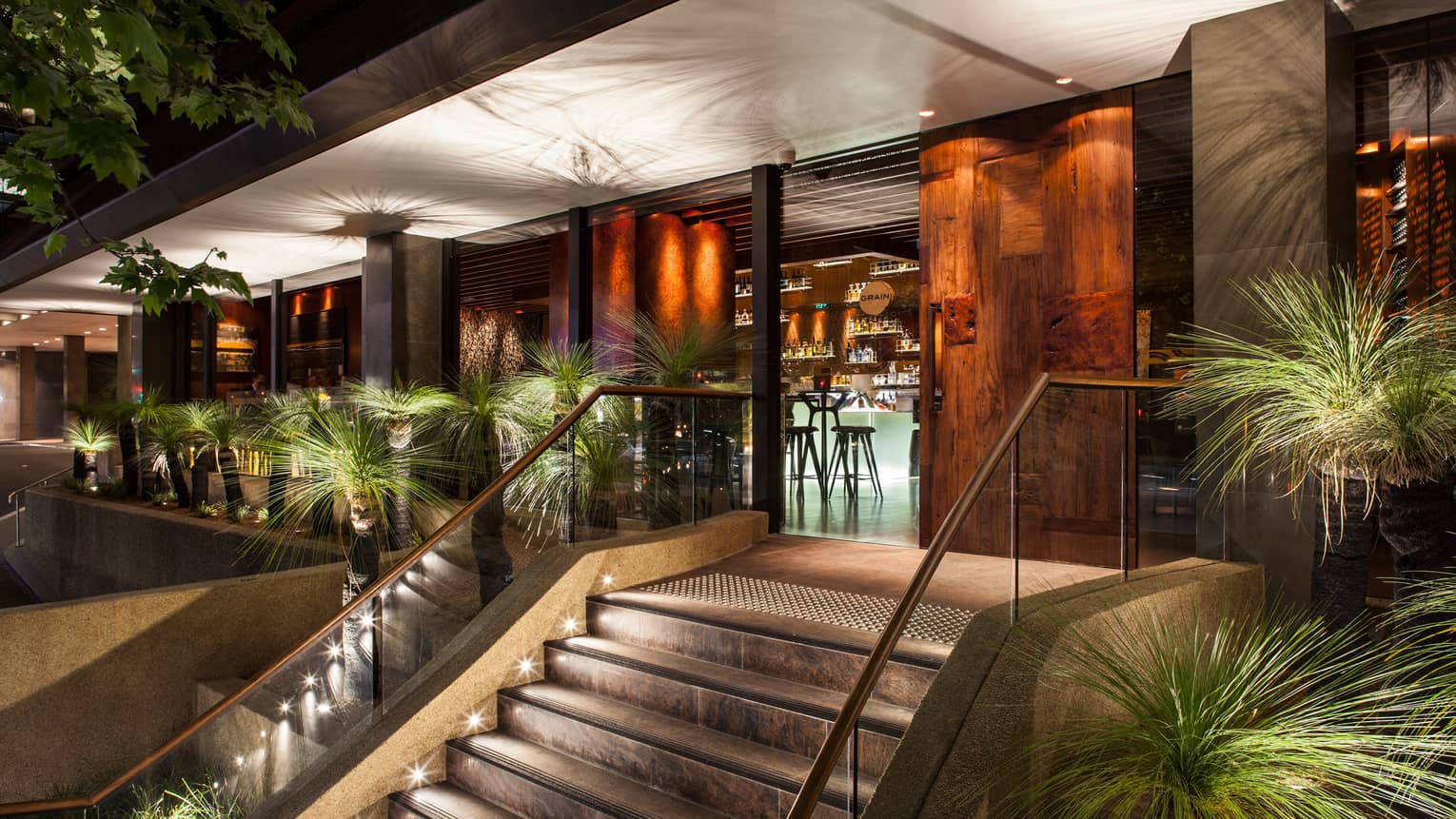 Stairs with lights leading up to Grain entrance at night, tropical plants
