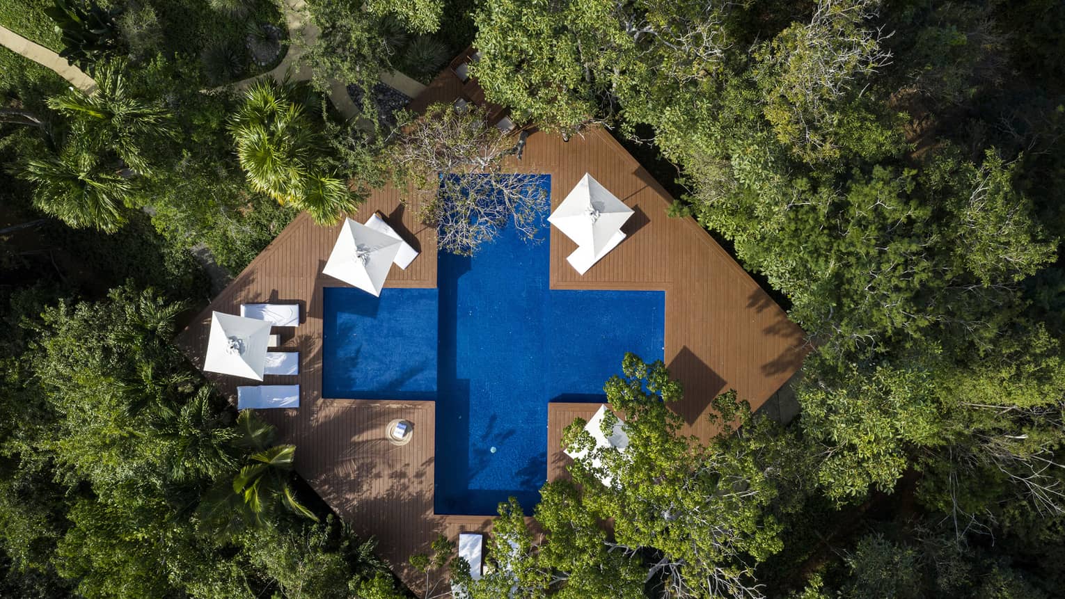 Aerial view of cross-shaped pool surrounded by trees