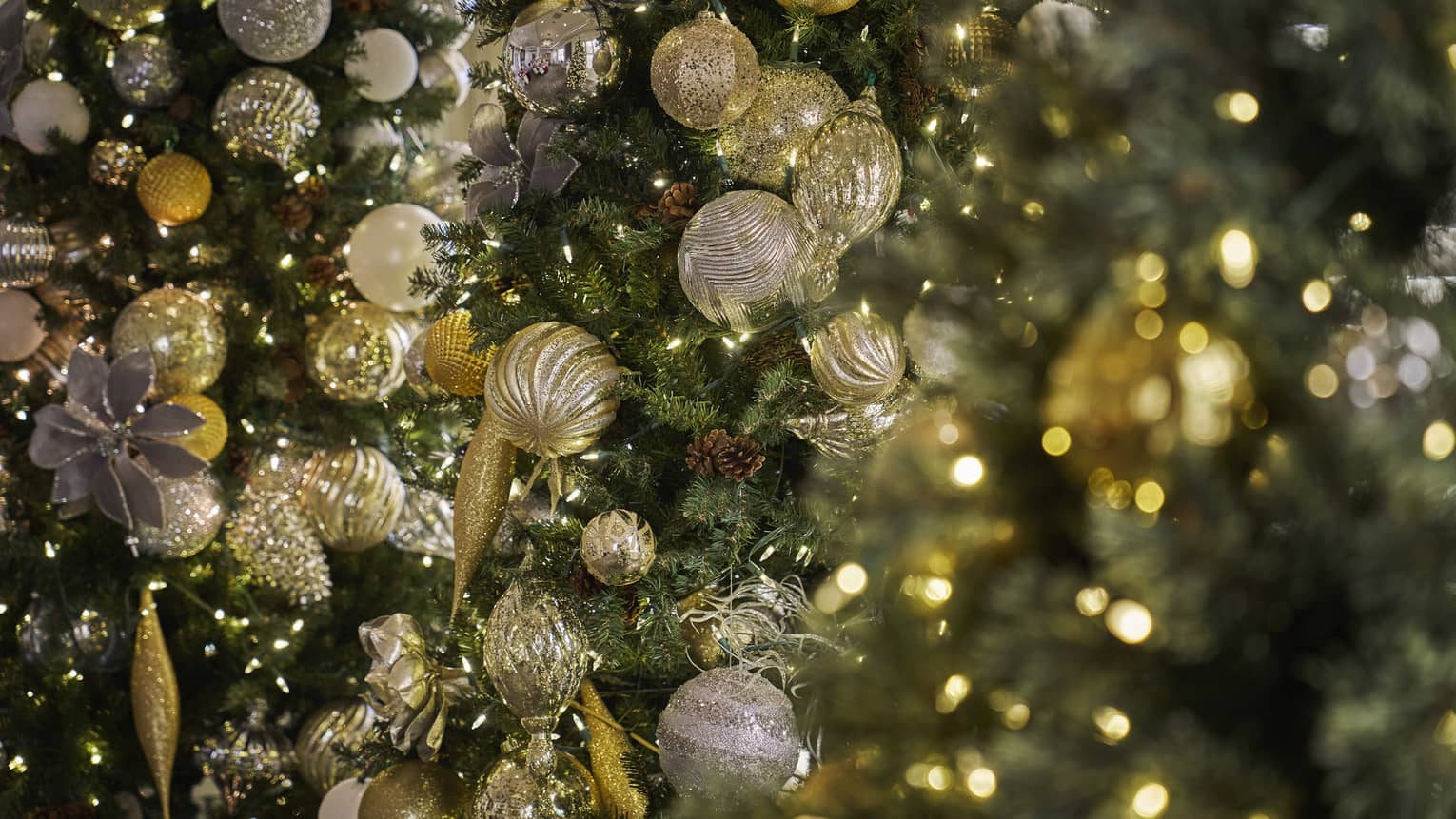 Closeup of Christmas tree with gold ornaments and white string lights