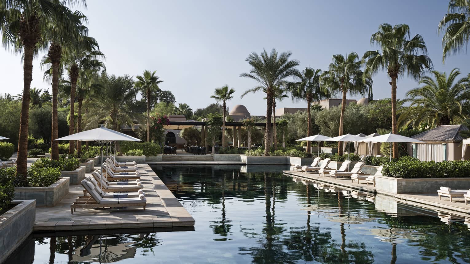 Tall palm trees over outdoor swimming pool and patio with rows of lounge chairs, umbrellas 